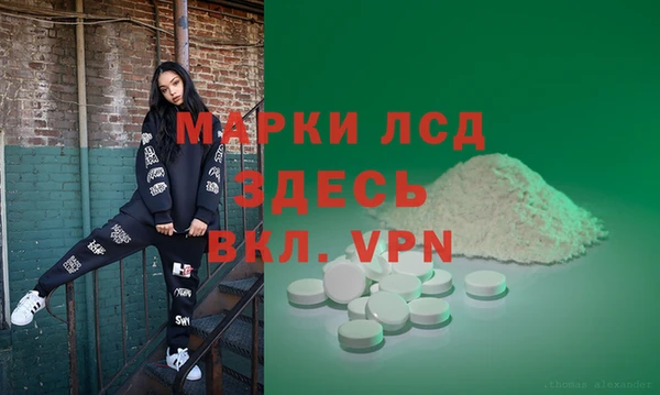спайс Белая Холуница