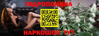 стафф Берёзовский