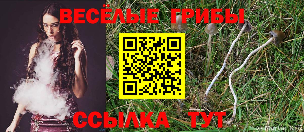 Псилоцибиновые грибы Cubensis Воткинск