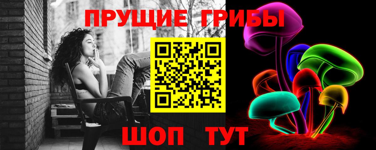 Воткинск  Галлюциногенные грибы Cubensis  Вход с VPN 